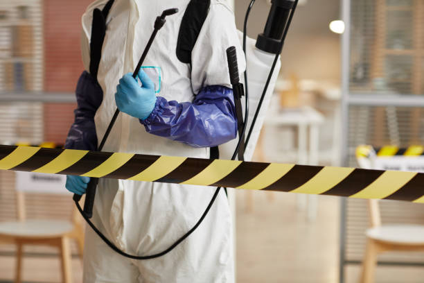 Professional Sewage Cleanup technician working in Colon, NE